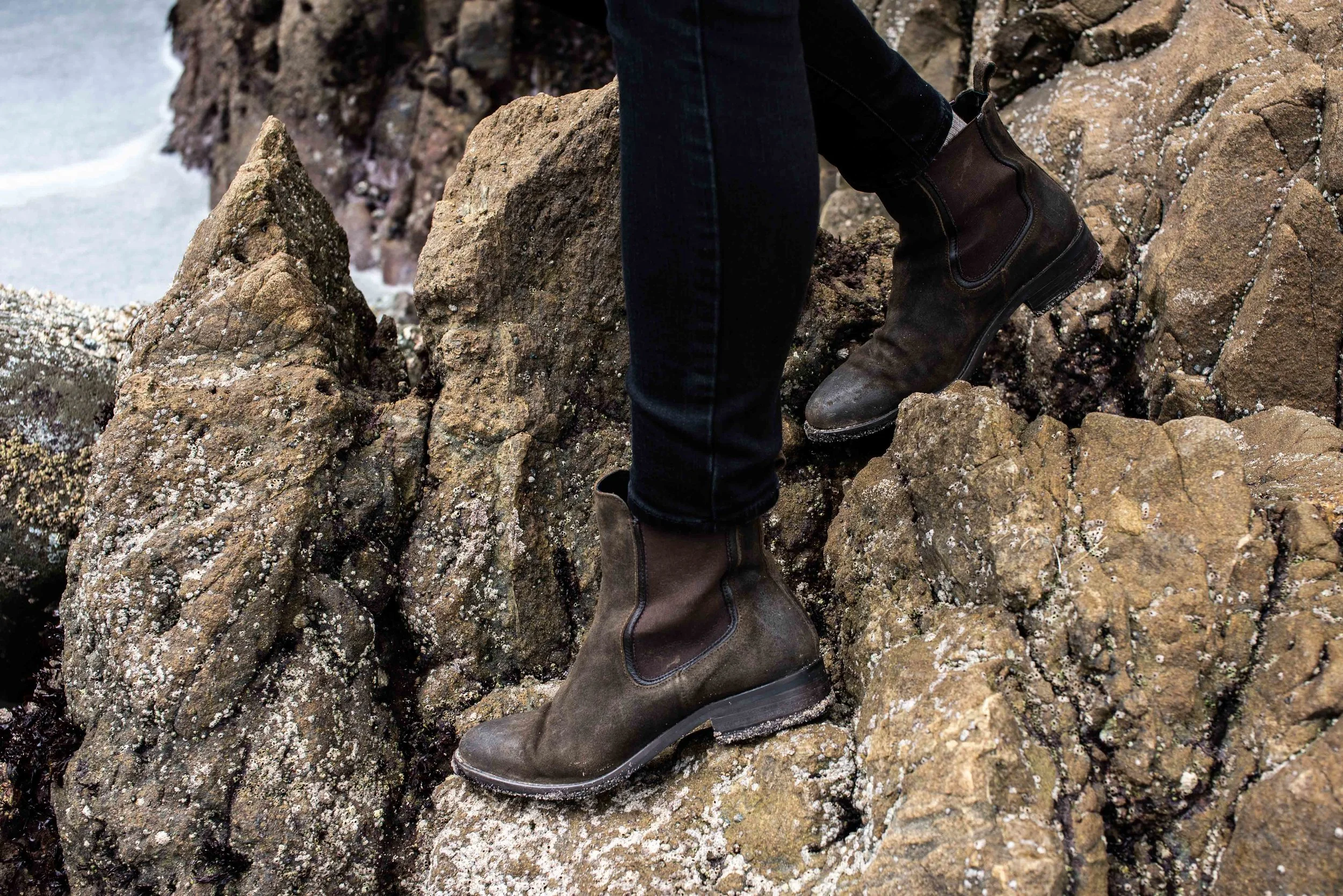 bigsur12.jpg