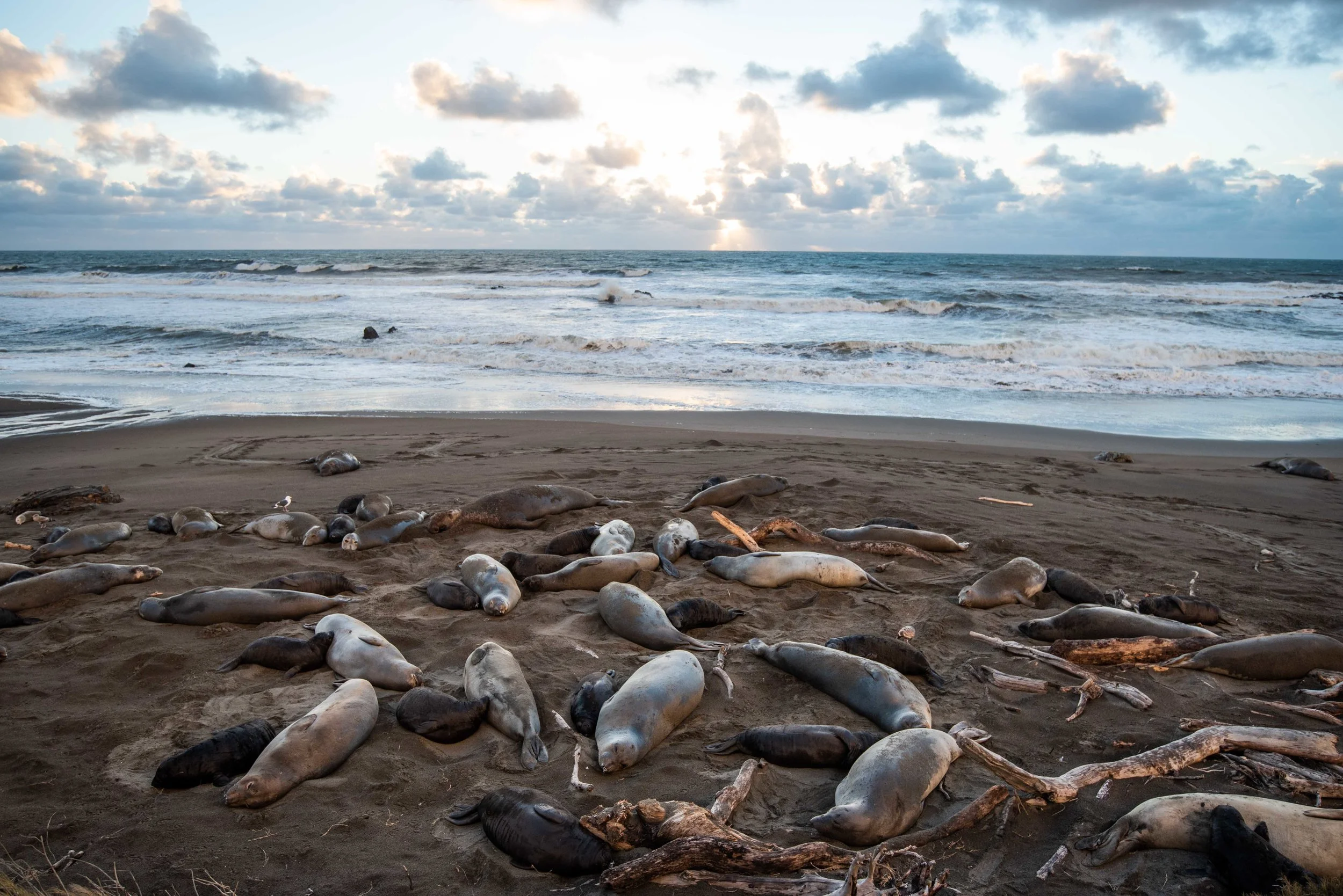 bigsur90.jpg