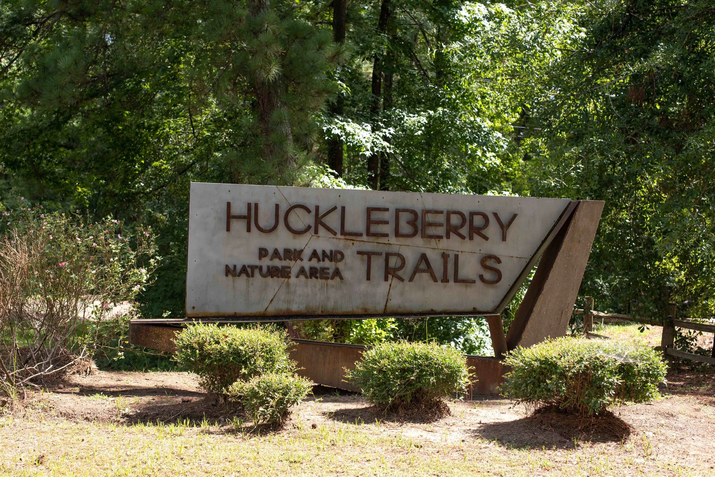 huckleberry.jpg