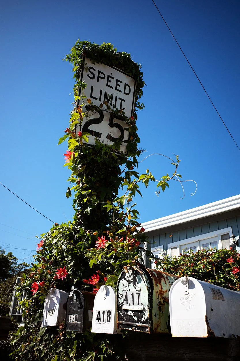 Speed_Mail.jpg
