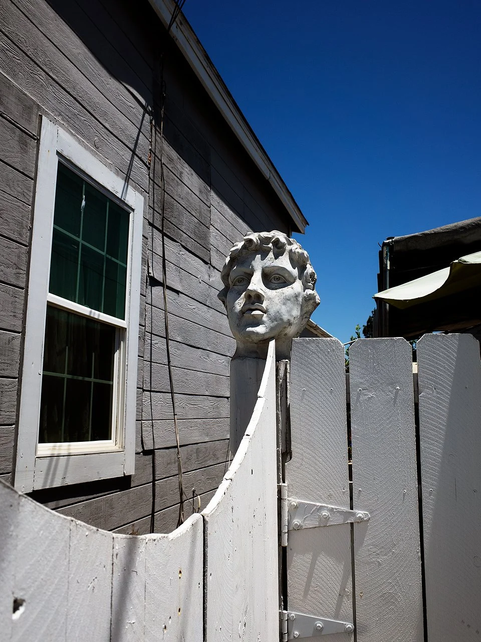 fence-head.jpg