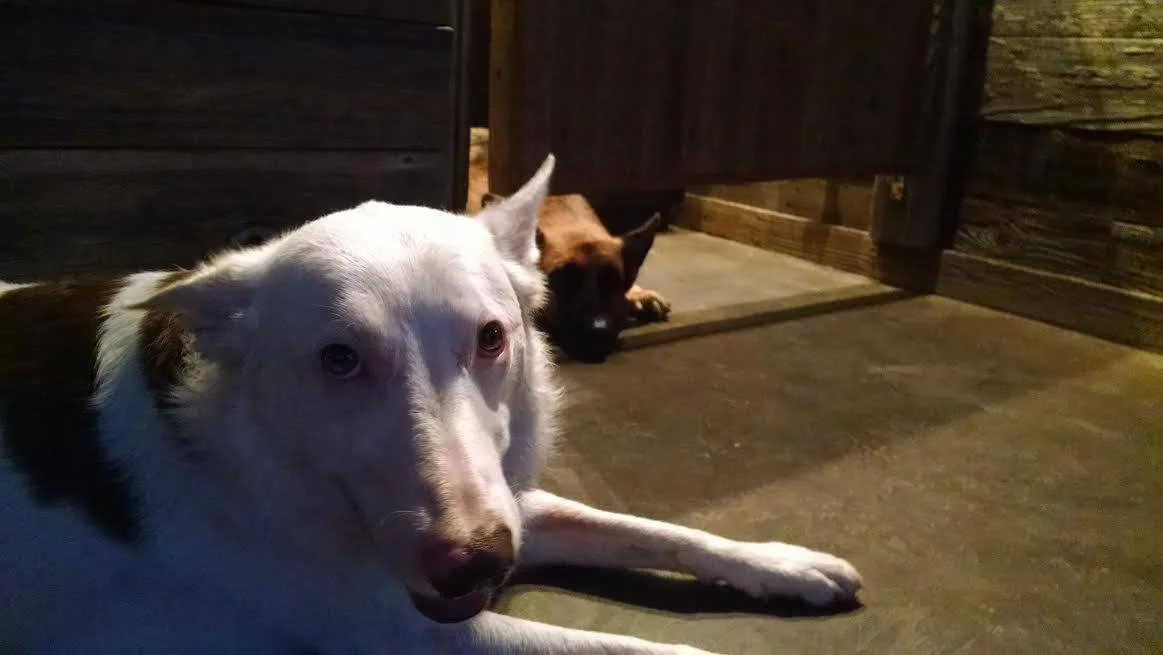 Relaxing at their favorite place...