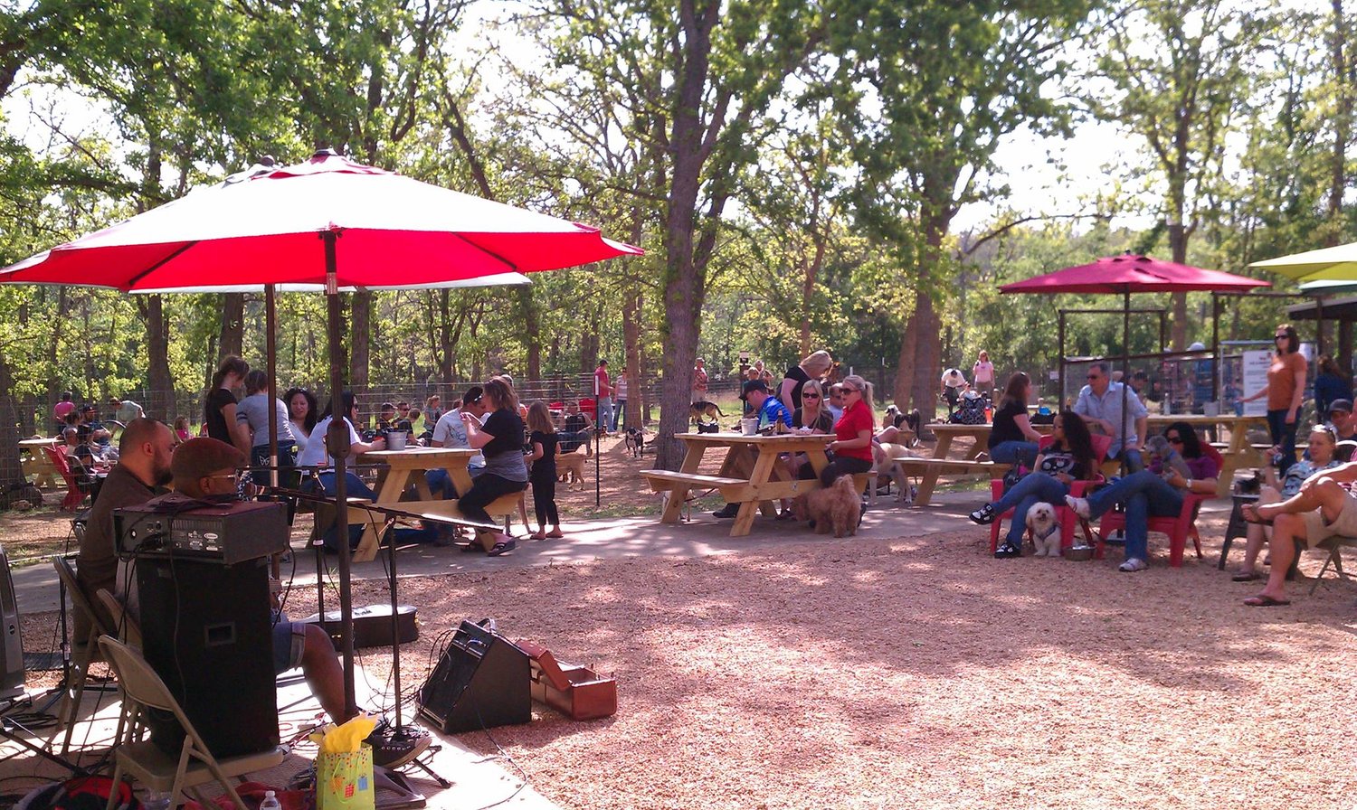 Dog House Drinkery Dog Park