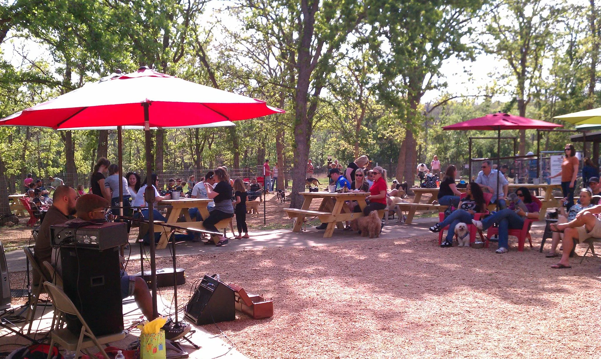 Dog House Drinkery Dog Park