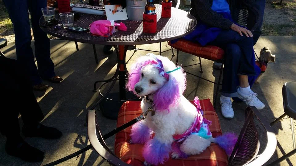 Annual Halloween Costume Contest