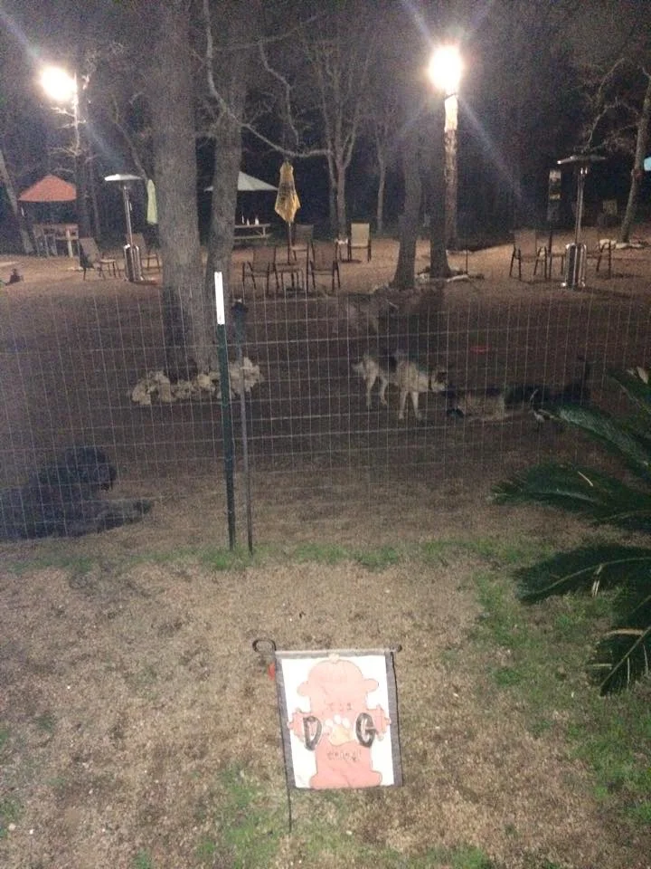 Dog House Drinkery Dog Park