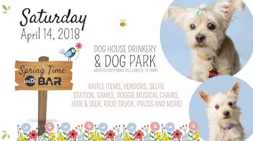 Bastrop 2018 flyer.jpg