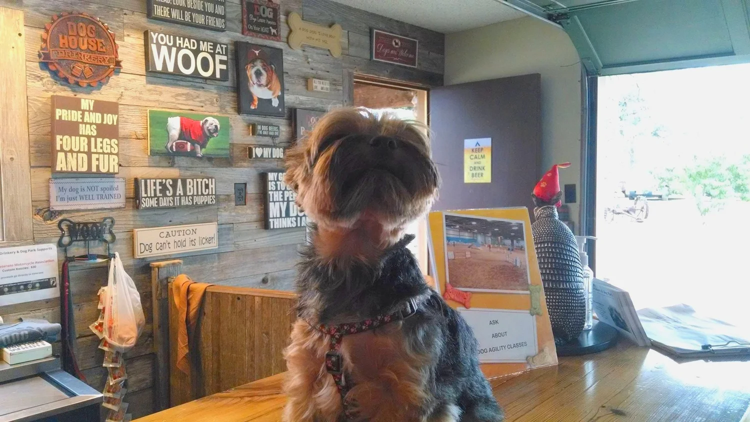 Bar Menu — Dog House Drinkery Dog Park