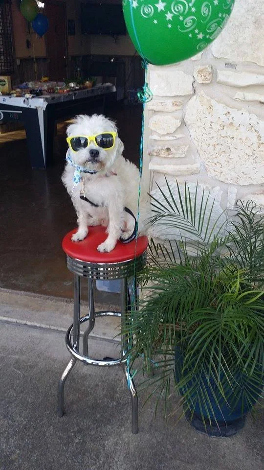 Community Events — Dog House Drinkery Dog Park