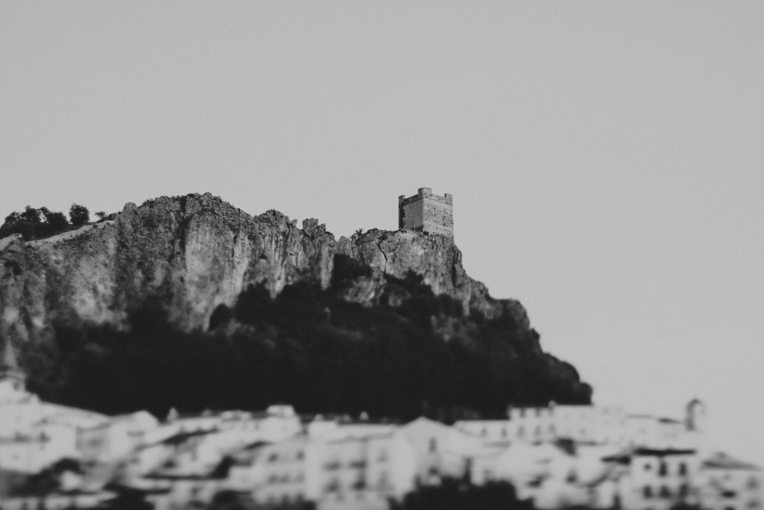 DSC_8850.jpg