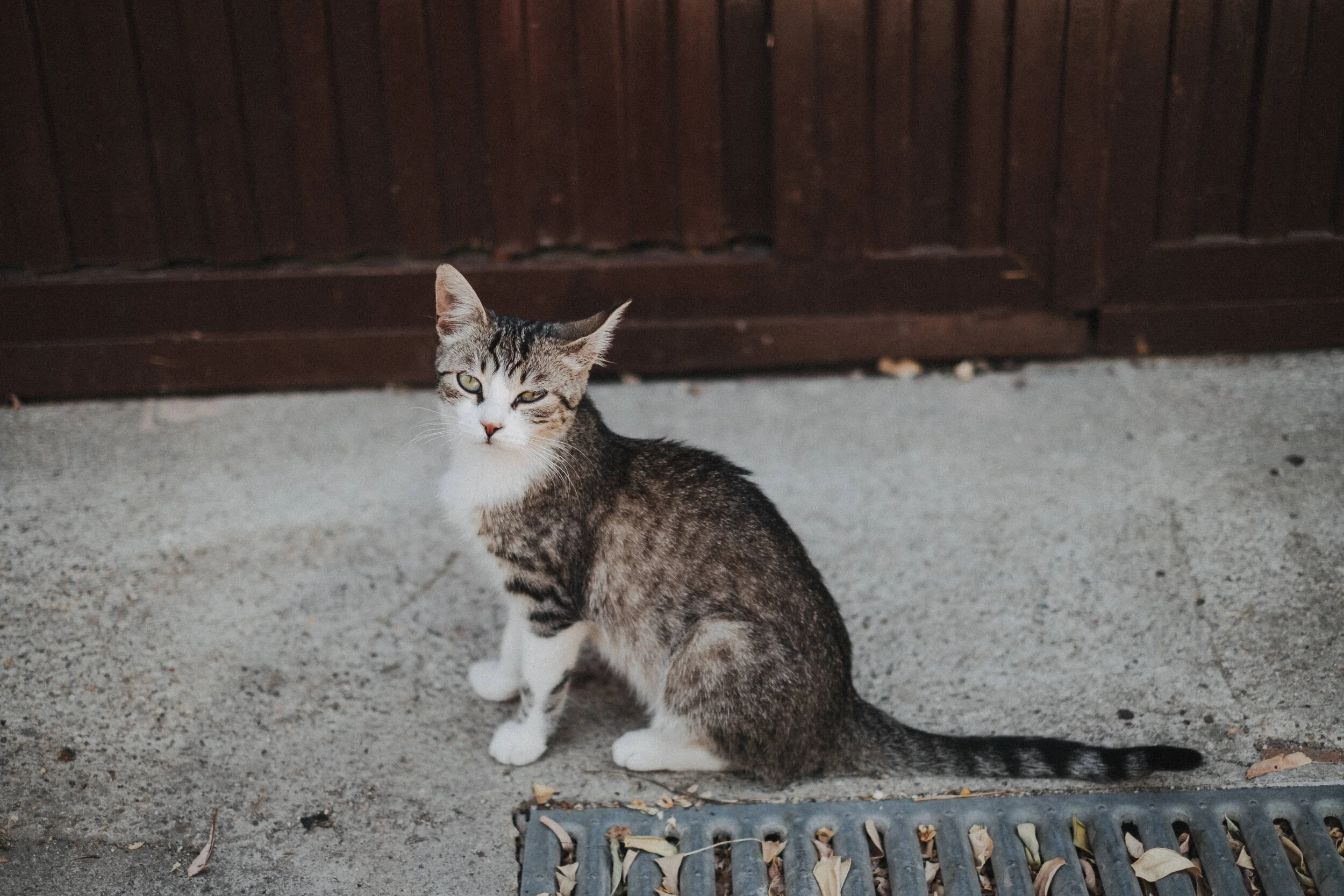 XPRO3495.jpg