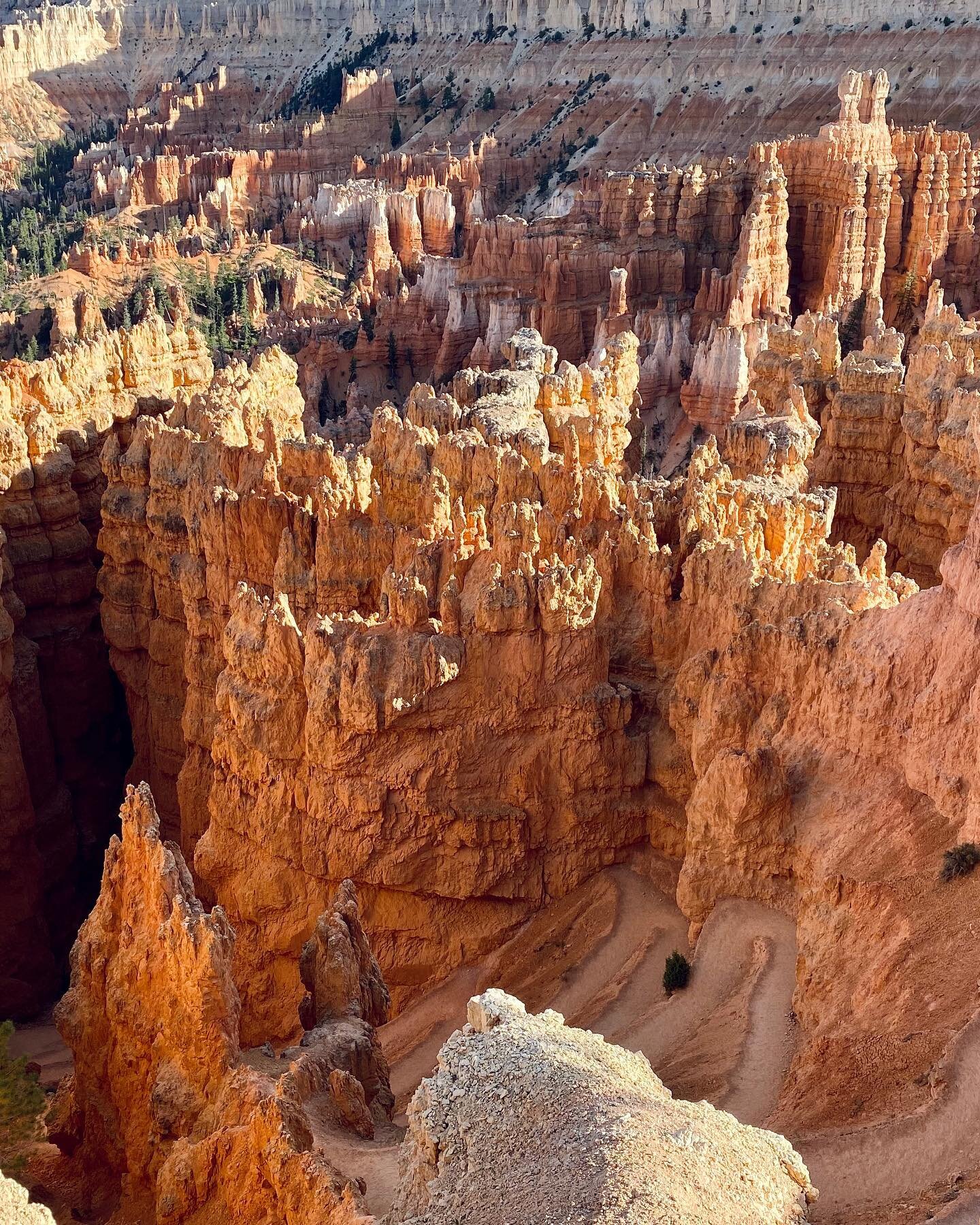 Utah is pretty much just one giant epic national park. #brycecanyon #utah #nature #nationalpark #hiking