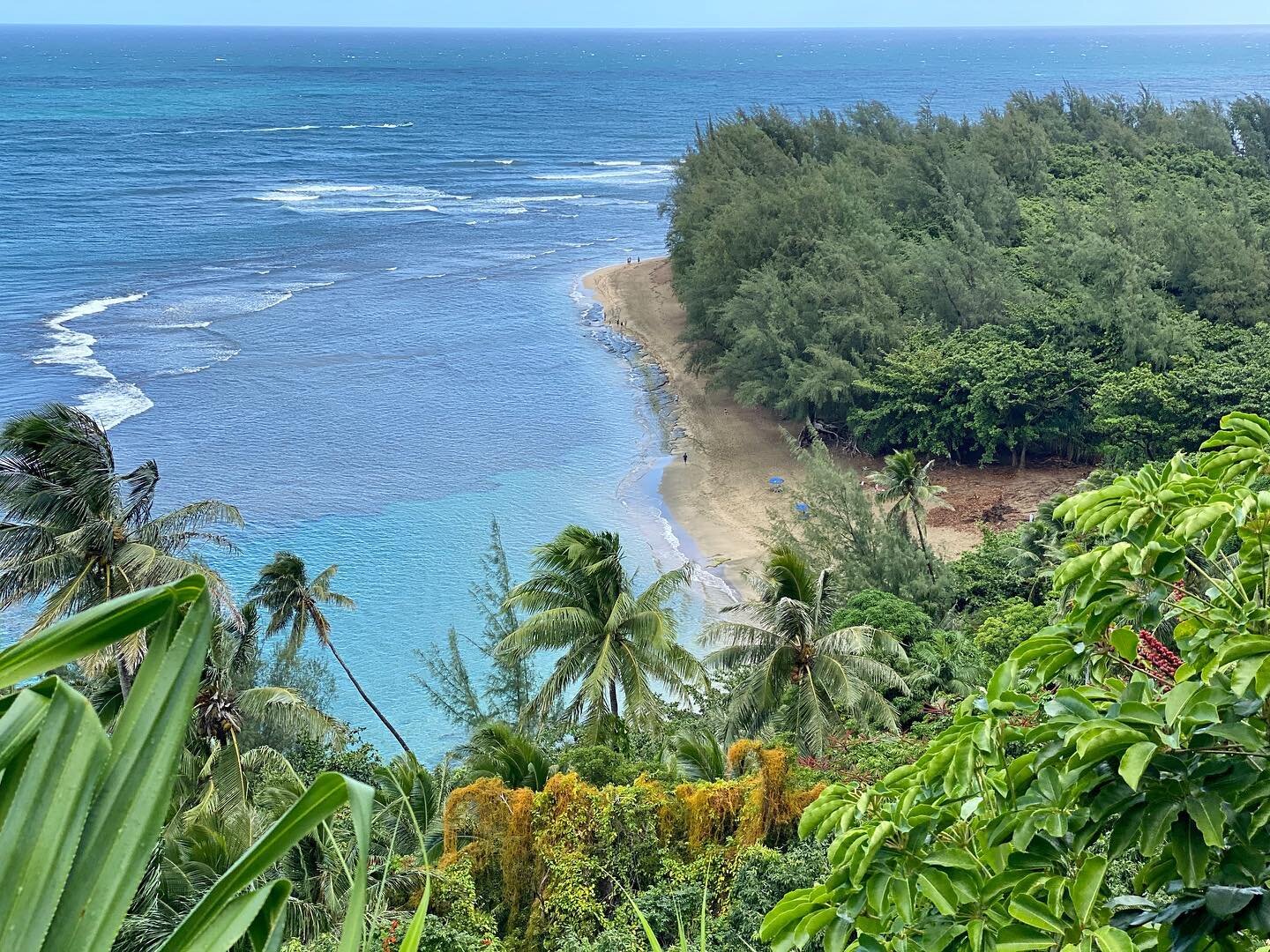 Beach, please! 🏝
1: #keebeach 
2-6: #secretbeach 
7: #hanakapiaibeach 
8-10: #shipwreckbeach 
#kauai #hawaii #beach #sand #ocean #rain #palmtree #rock #nature #paradise #vacation #travel #umbrella #flower #waves #tropical
