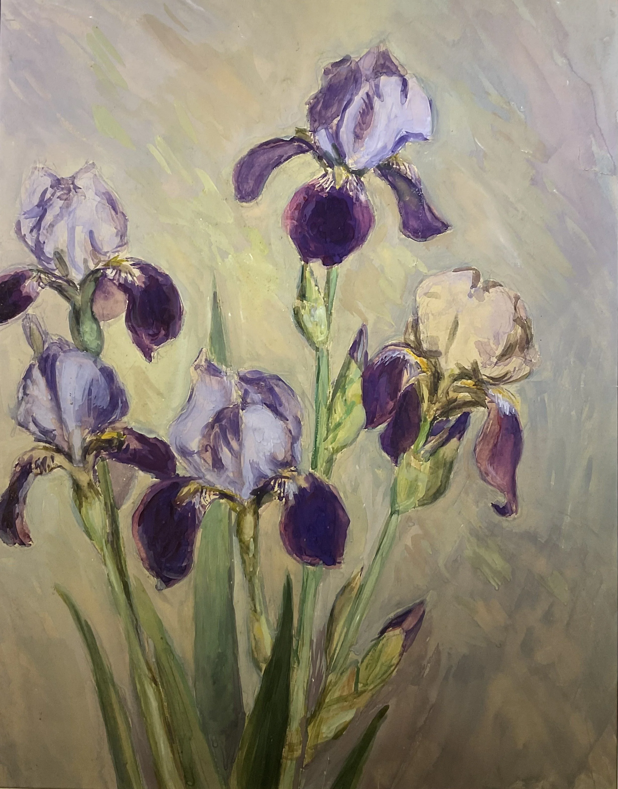 Greta Allen Irises.jpg