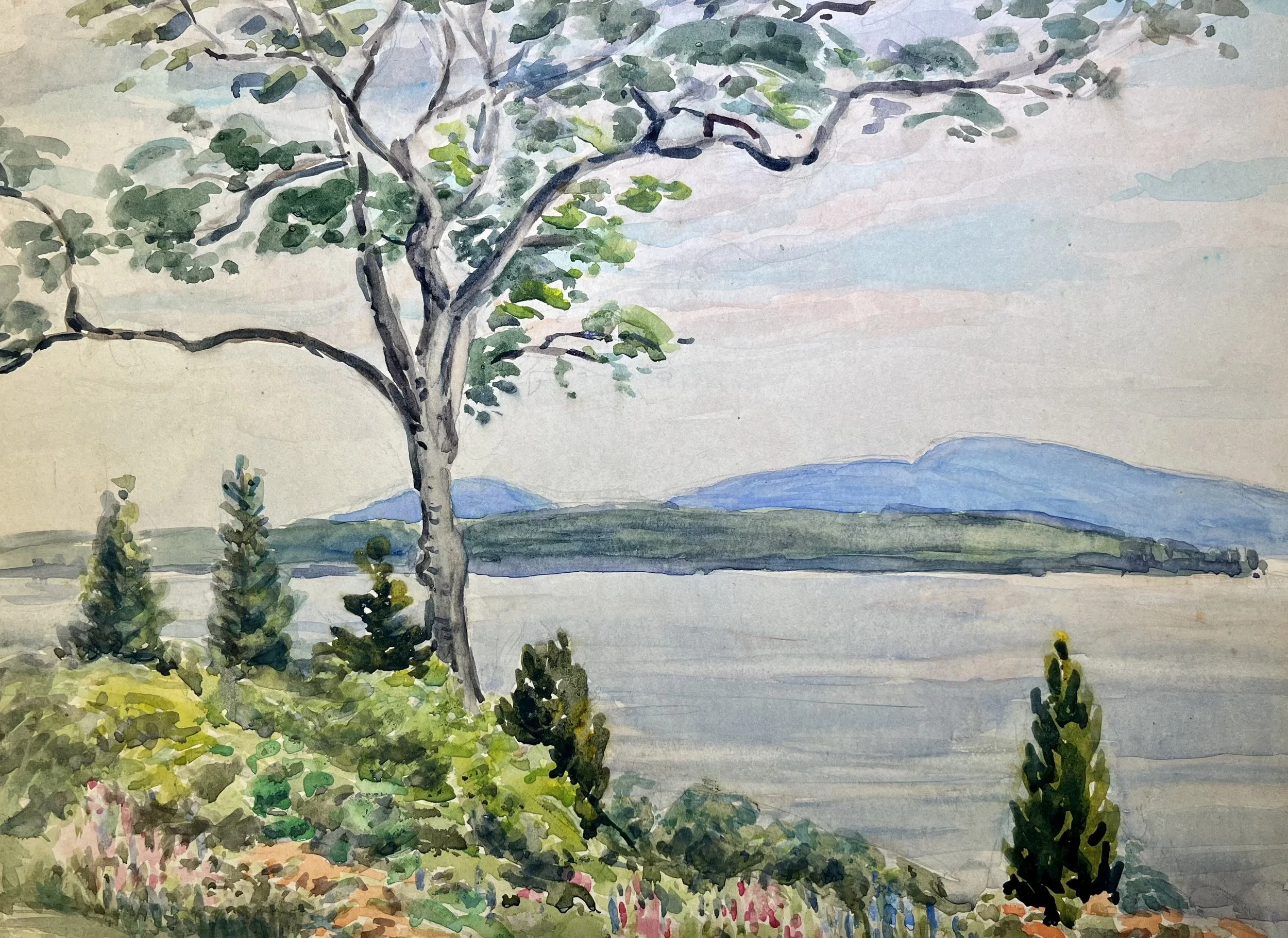 Greta Allen tree and island.jpg