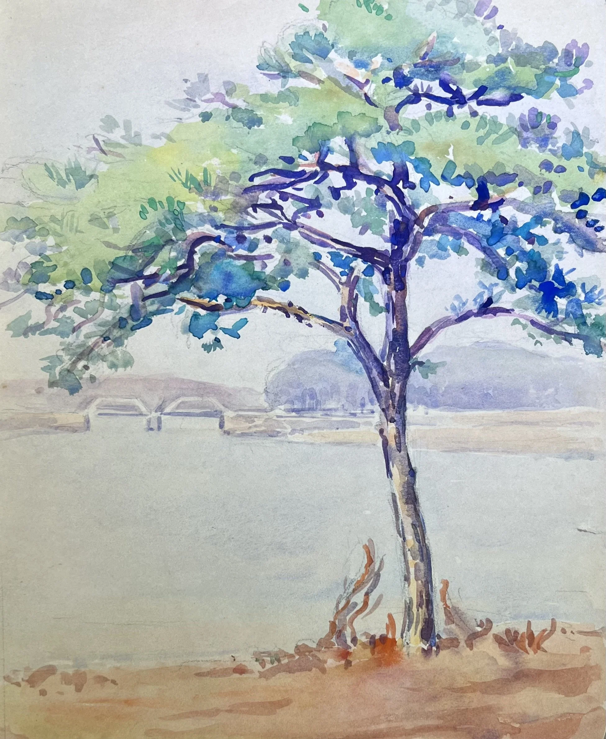 Greta Allen tree.jpg