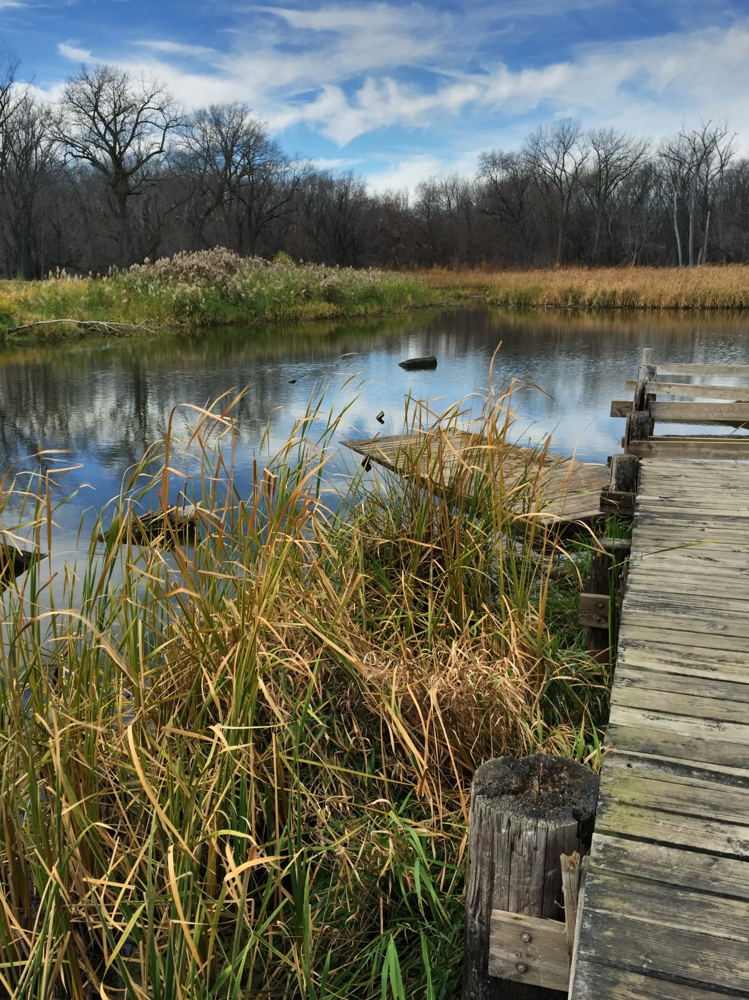 The lagoon by the old Riverview park.