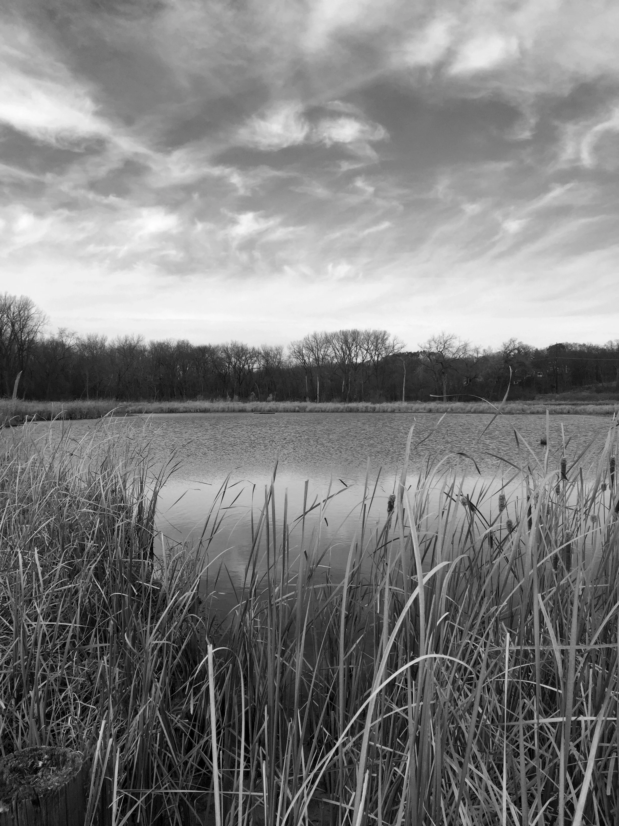 Looking northwest, horsetail clouds