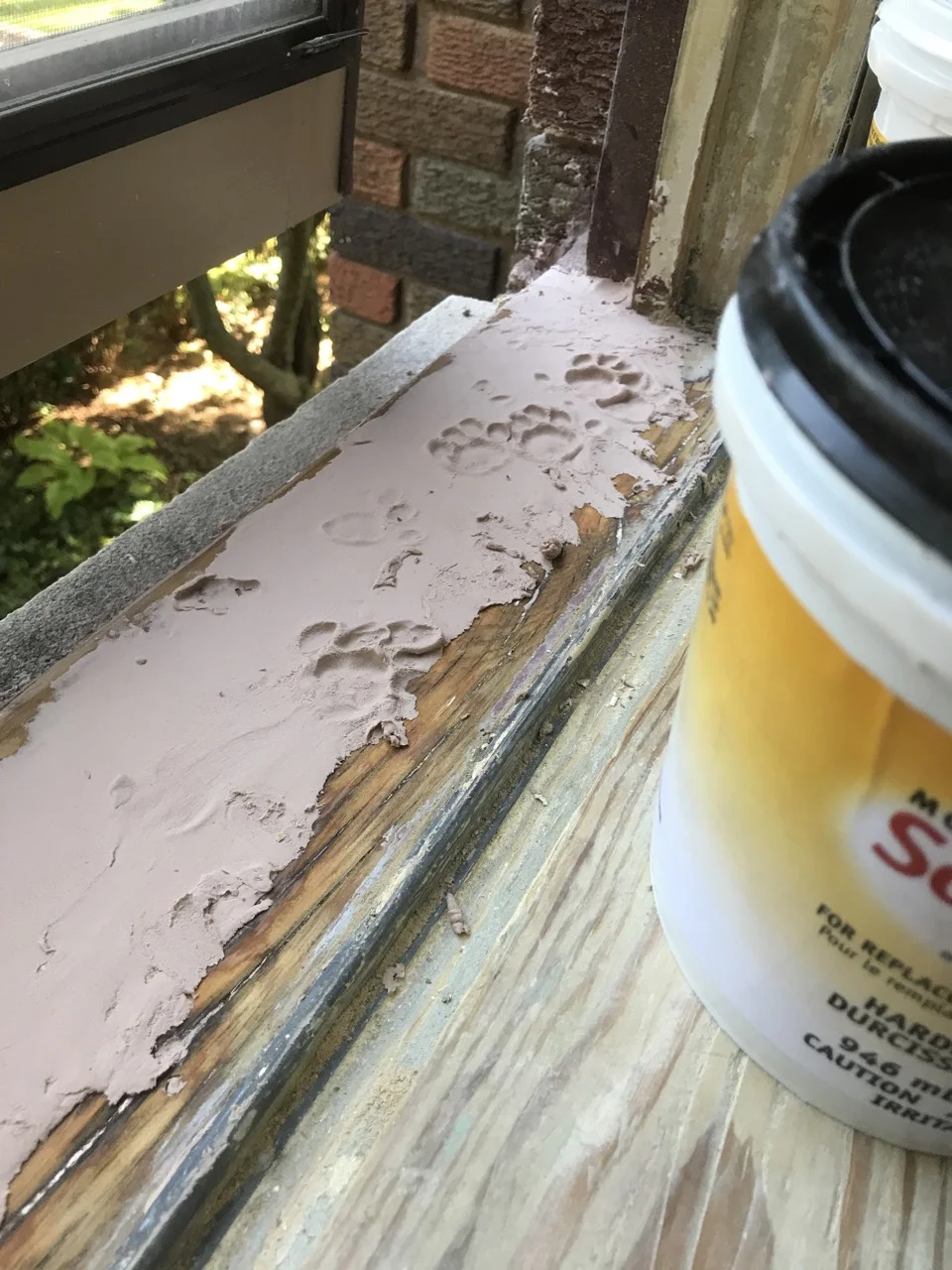 Tip: Keep cats away from the window when curing sculptwood!