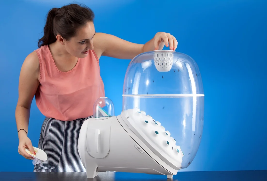  1. Pupae are put into birthday box in order to start the breeding process. From there, flies emerge and fly out into the mating chamber, where they mate, drink and lay eggs into the nozzles. Hatched larvae fall from the nozzles into the feeding vol…