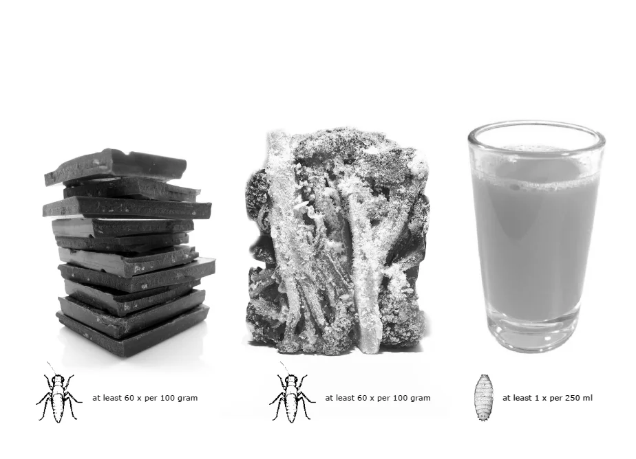  And you are eating them already! We eat about 500 g of insects per year, in our everyday food.