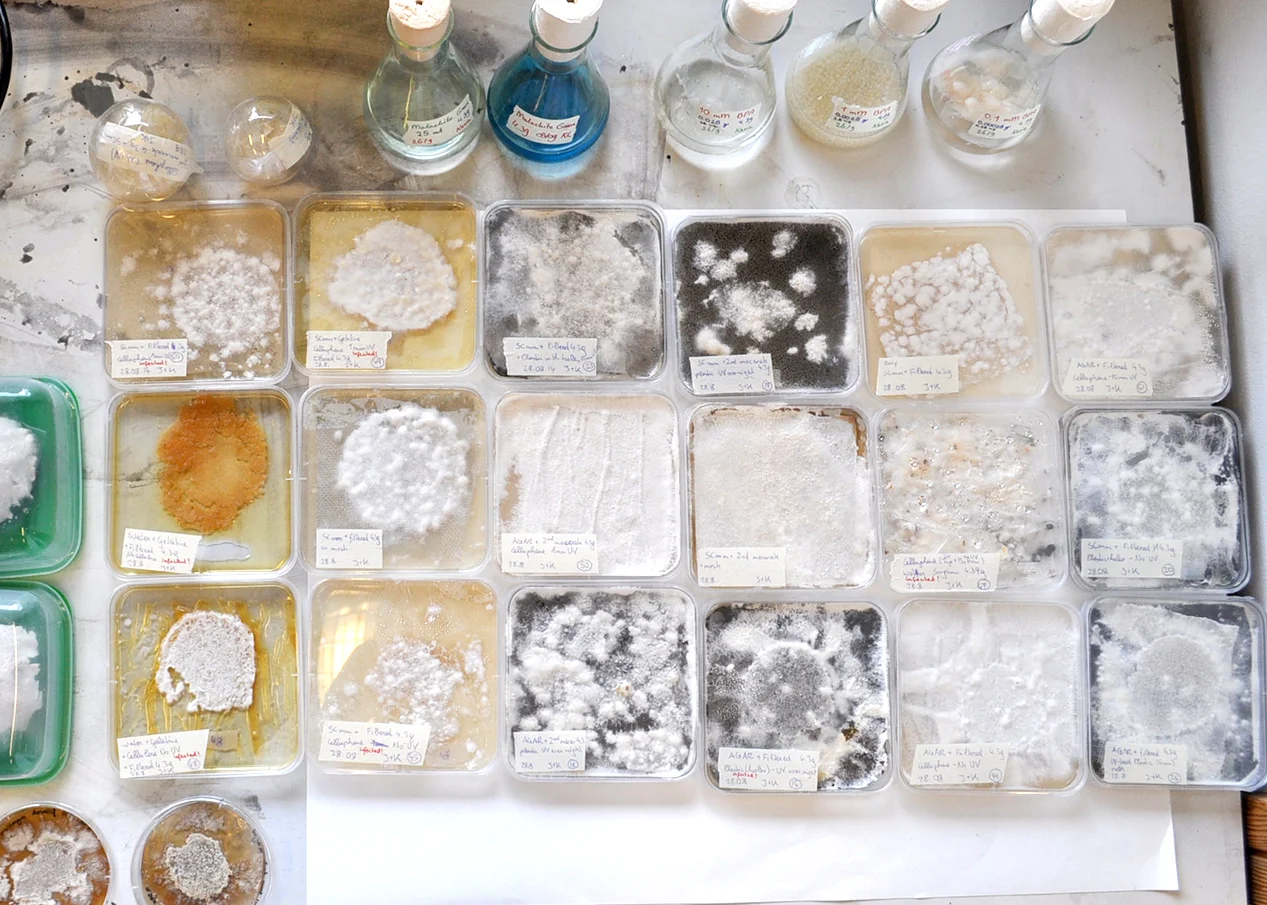 Elaborate experiments in the Utrecht University Lab