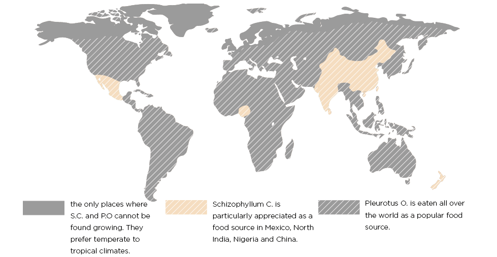 Geographical Zones of Growth and Culinary Interest