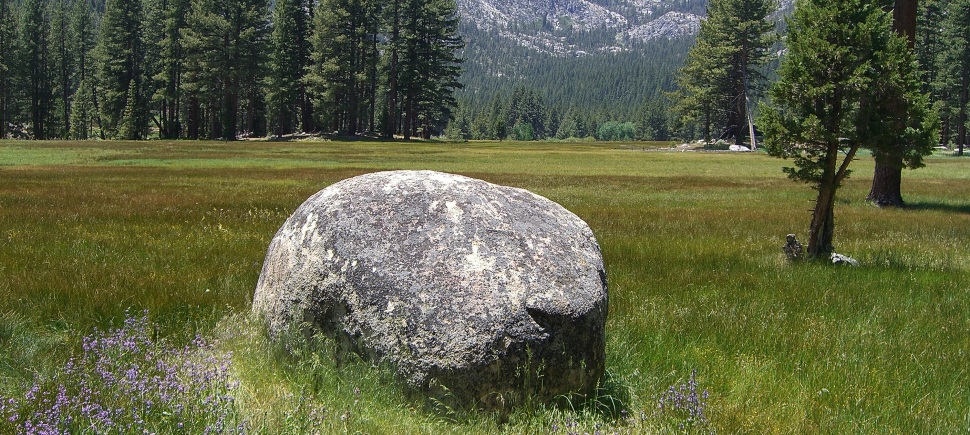 Friends of Grover Hot Springs