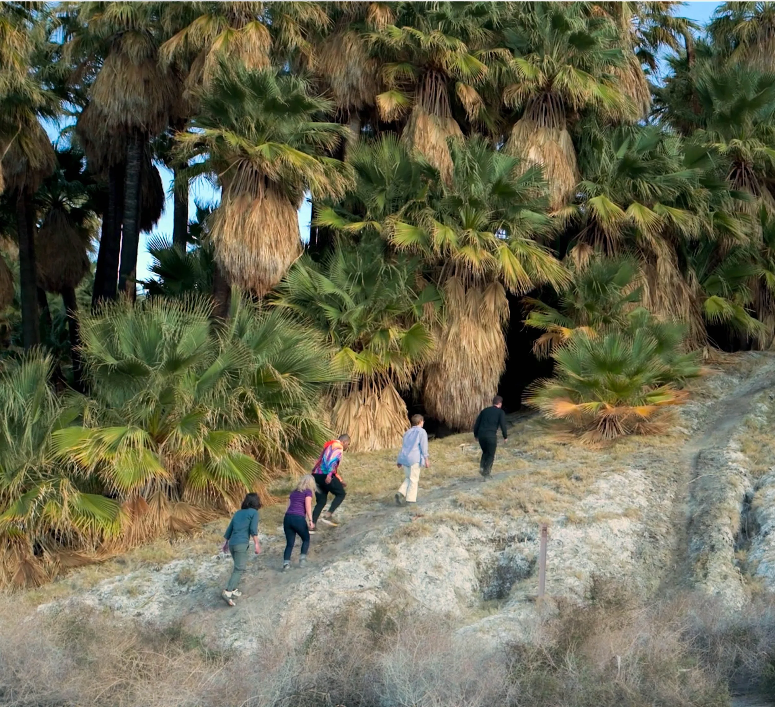 Screen Shot 2022-12-16 at 5.47.54 PM.jpg