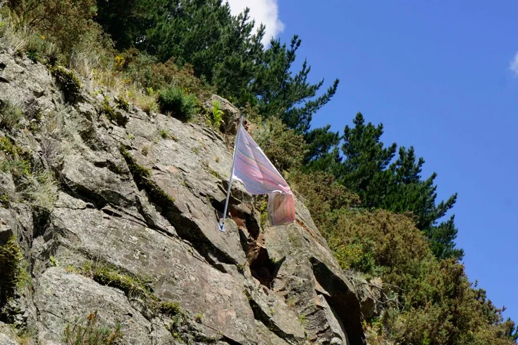  Sam George and Lisa Radford   Google Wave  2012  digitally printed flag, flag pole, Quarry   installed at The Sculpture Park, Waikato, New Zealand  