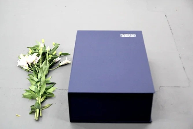 Another fucking Dear Masato, all at once (get a life, the only thing that cuts across the species is death) Flowers and Archival solander box made by Irwin & McLaren containing Fence Mesh Airtex Printed Pantone 3005, Vesper Vibrator Gold, 1 Megaphone, flowers, 1 Takewondo belt, 1 Lapiz Blue Uniqlo long rain coat with hood, Nonslip matting, 92 found images printed as props occupying 3163.845 centimetres, a set of used cue cards, 1 throw cushion, a usb of archival material relating to the works exhibited in Dear Masato, all at once (2014), a catalogue for Dear Masato, all at once (2014), a selection of 6 x 4 photographs taken by Assistant Director Teresa Noble from Dear Masato, all at once (get a life, the only thing that cuts across the species is death) (2016), suggestions for making a play and one script typeset by Rowan McNaught printed by Grant McDonald at Print City and co-authored by friends and members of Northern Theatre Company, Casula Powerhouse Youth Committee, George Grey Centre and Maffra High School including: KellyAnn Standley, Rekha Dhanaram, An Le, Ariadna Kiehn, Gregory Gaydon, SopeaArian Bozorg, George Grey Centre Gippsland, Georgie Glanville, Evelyn Morris, Rosemary Overall, Kylie White, Rebecca Harris, Tom Polo, David Capra, Annaliese Constable, Eva Abbinga, Geoffrey Watson, Rebecca Harris,Teresa Noble, Ange Arabatzis, Kelly Neilsen, Suzanne Brimley, Rebecca Grinblat, Genevieve Neve, Nicola De Rosbo-Davies, Sam Browne, Sally Guildford, Shrut Parmar (Nash), Bikramjeet Singh, Will Sutherland, Westpace, Melbourne.