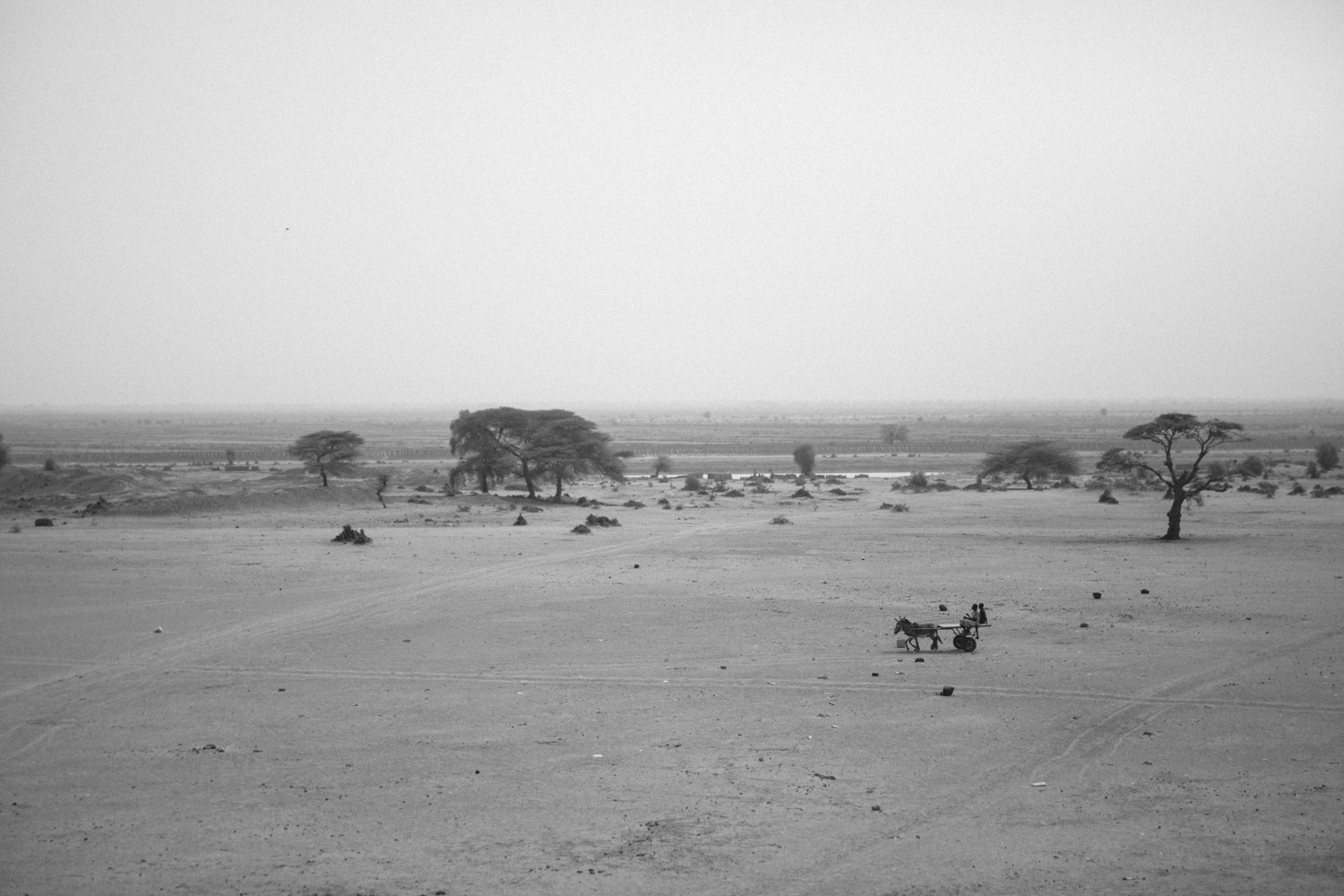 _mg_9774.jpg