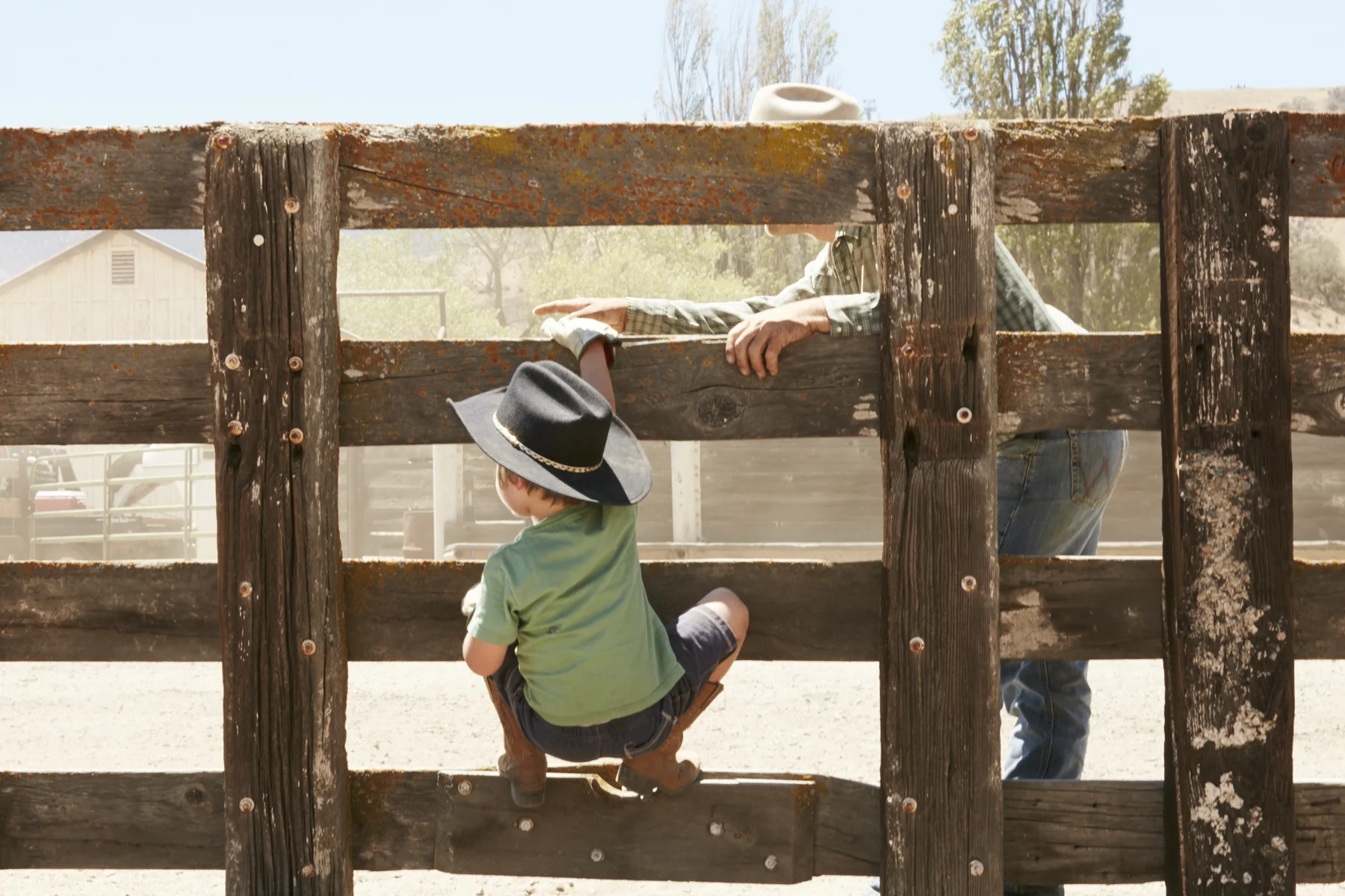 22_cattle_ranch_6771.jpg