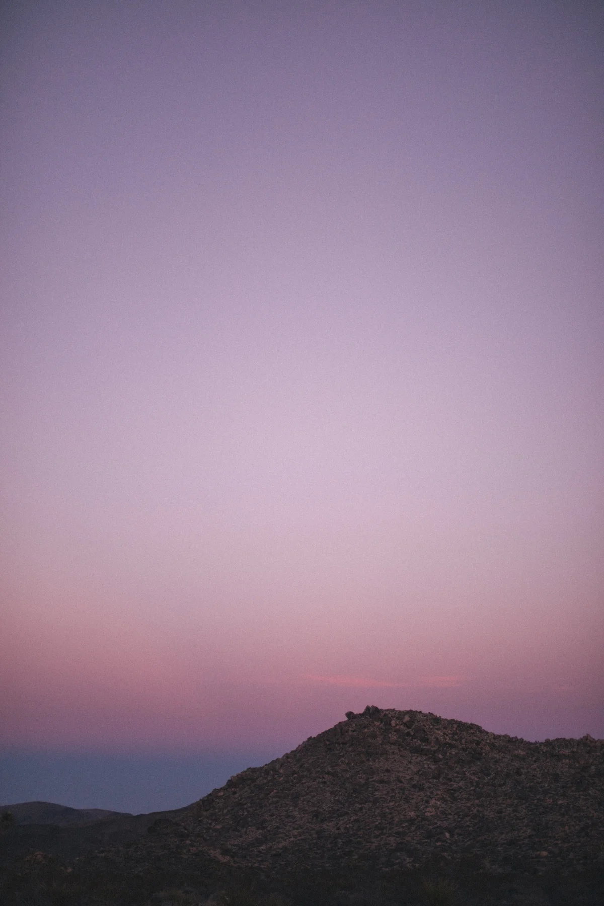0X8A4950.jpg