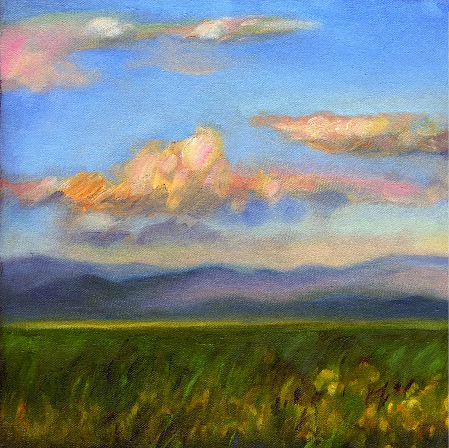 New Mexico Sky II