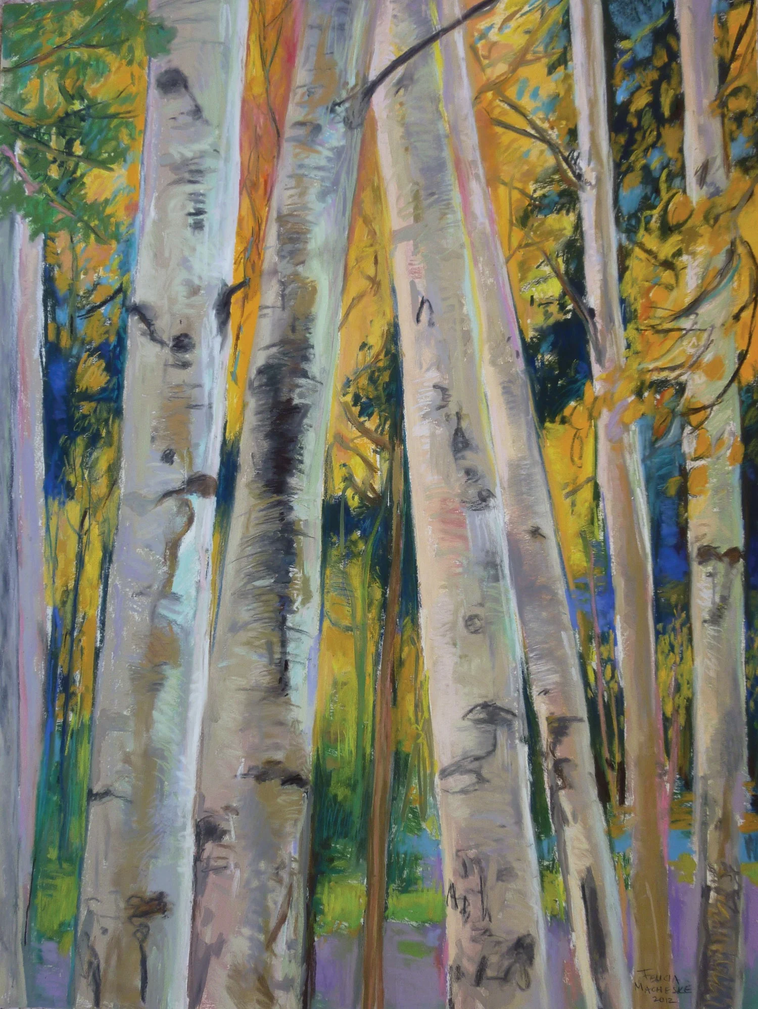 Aspen, Cloudcroft