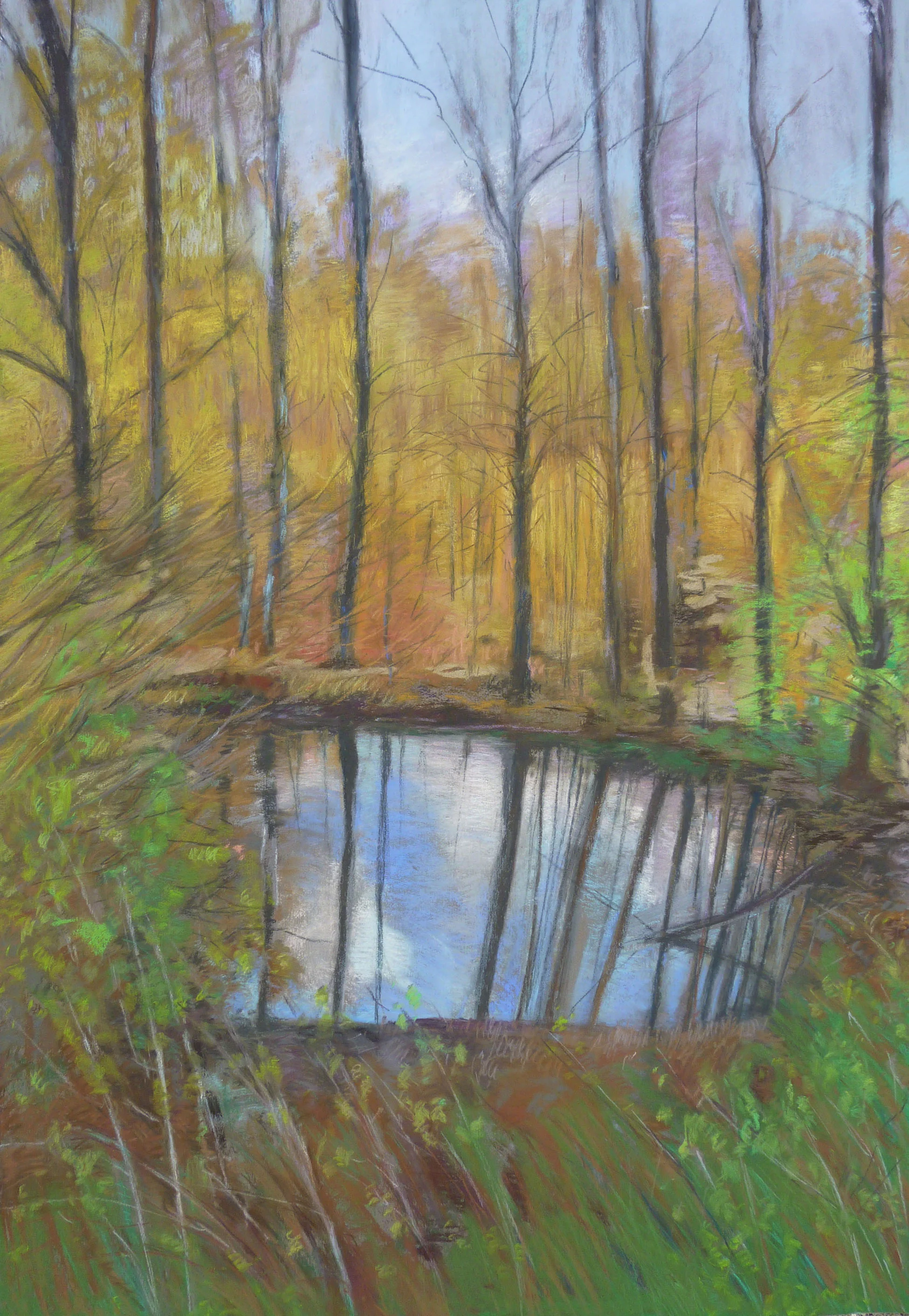 Spring Pond