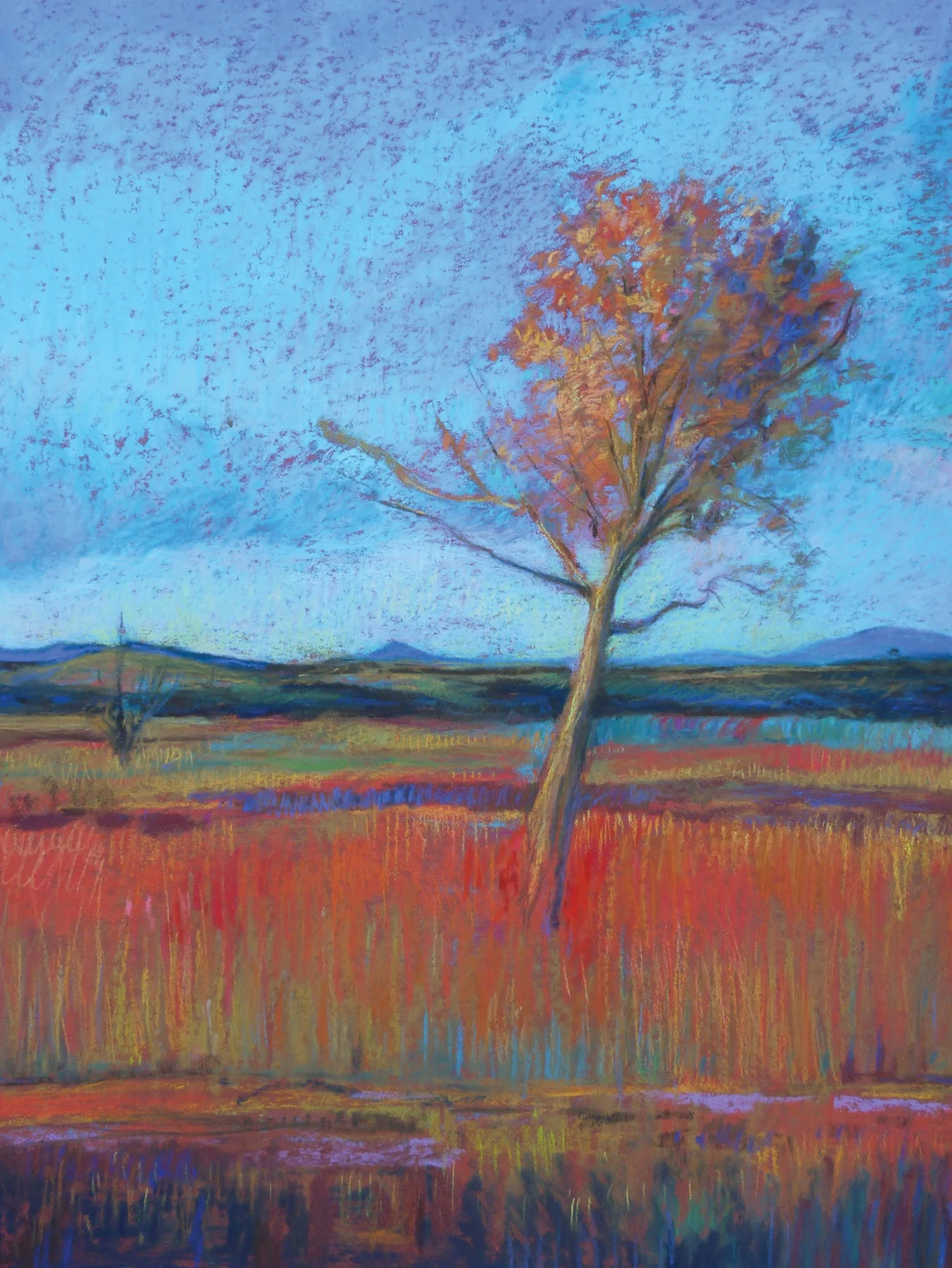 Evening Tree