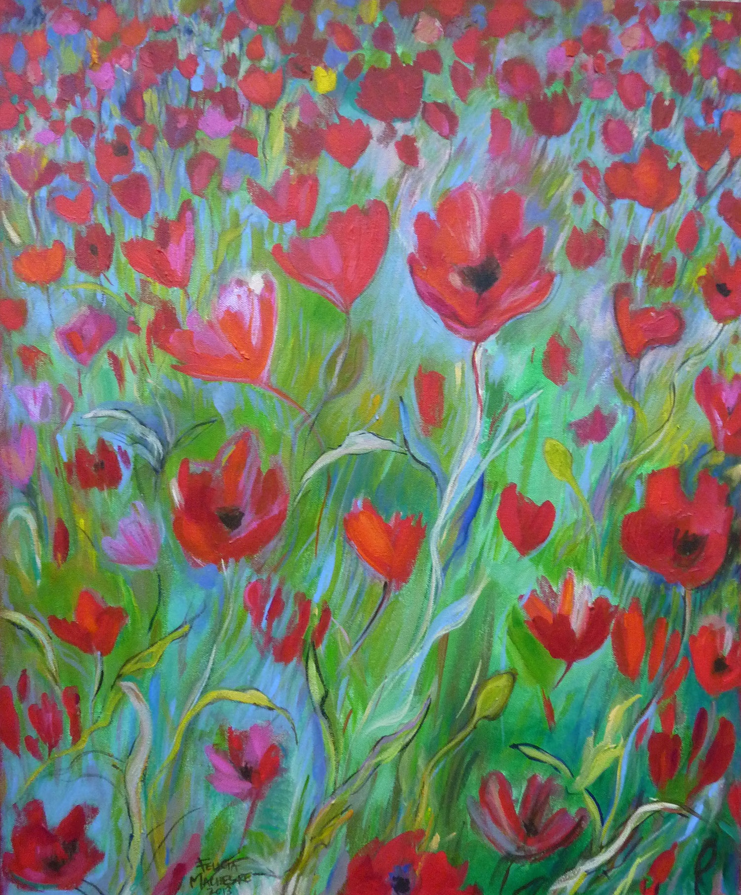 Poppies