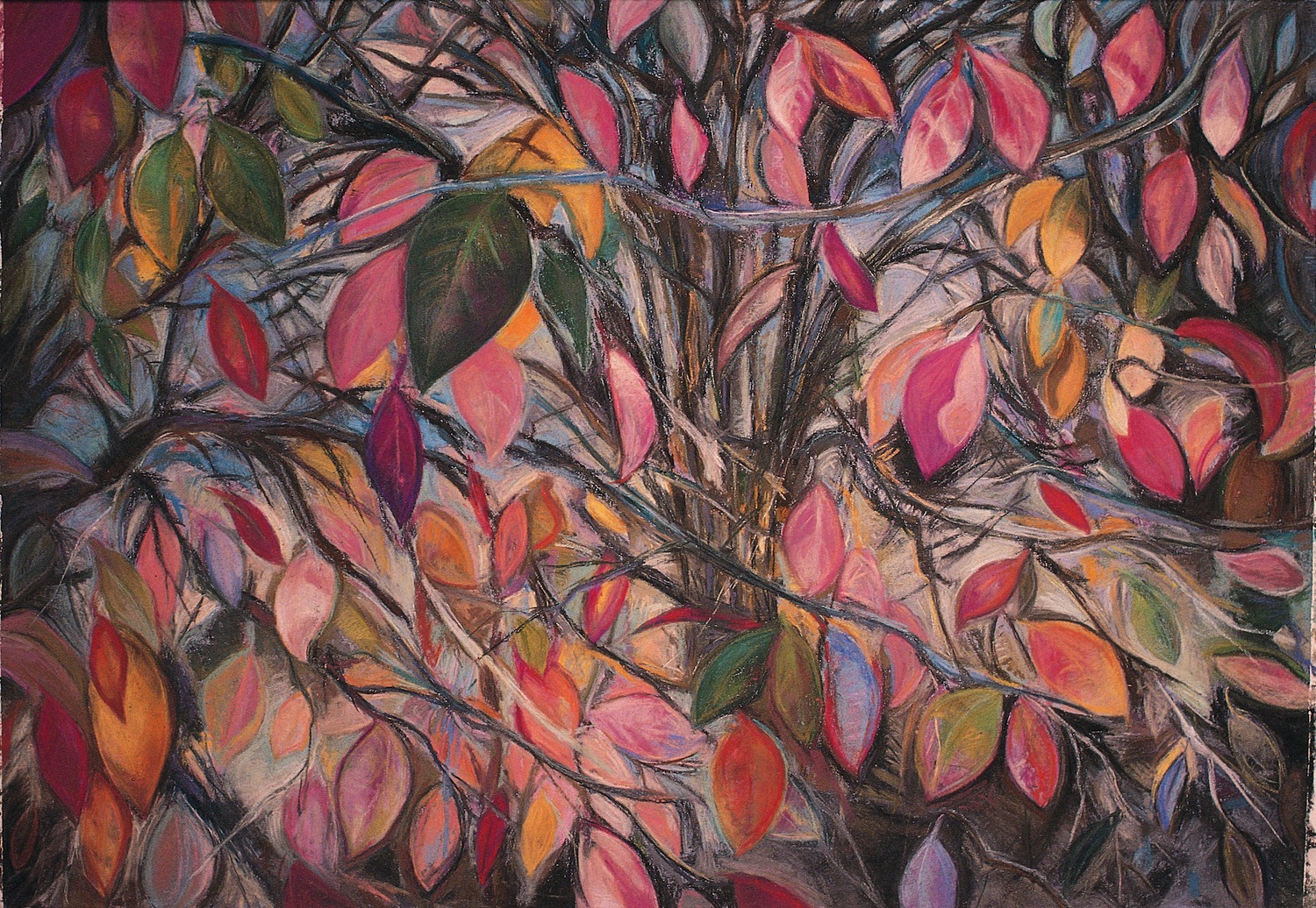 Pink Hedge