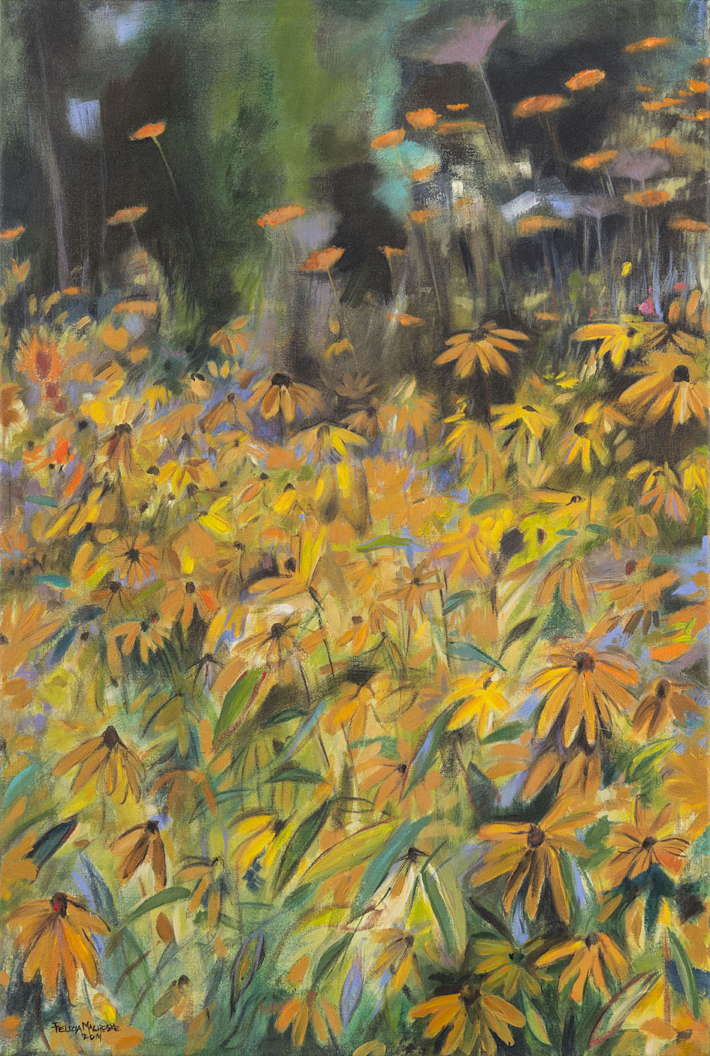 Black-Eyed Susans