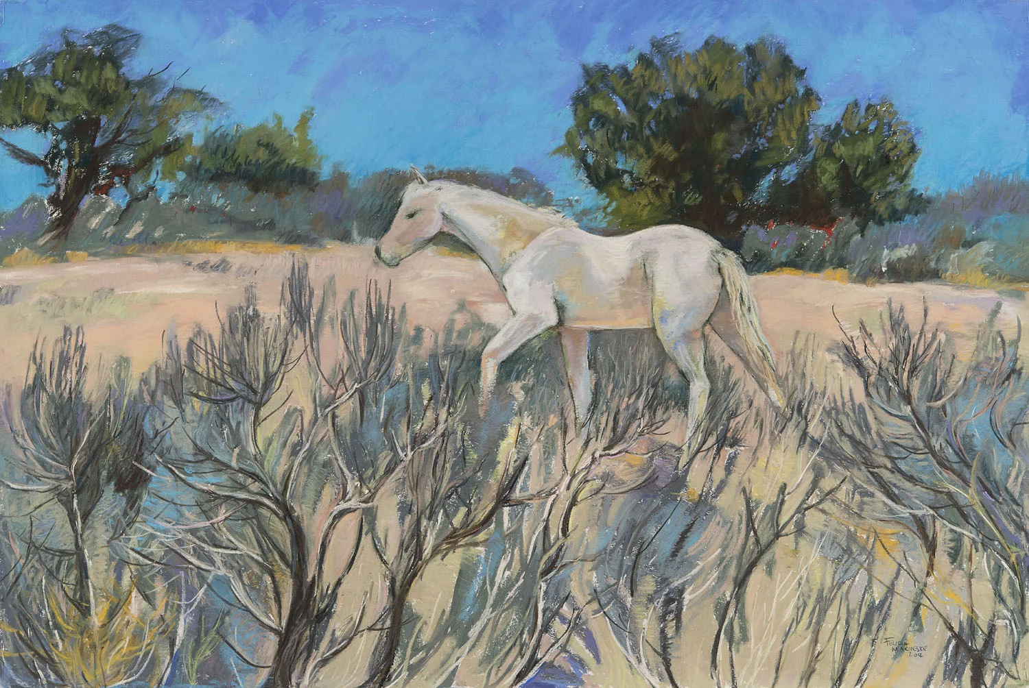 Navajo Pony