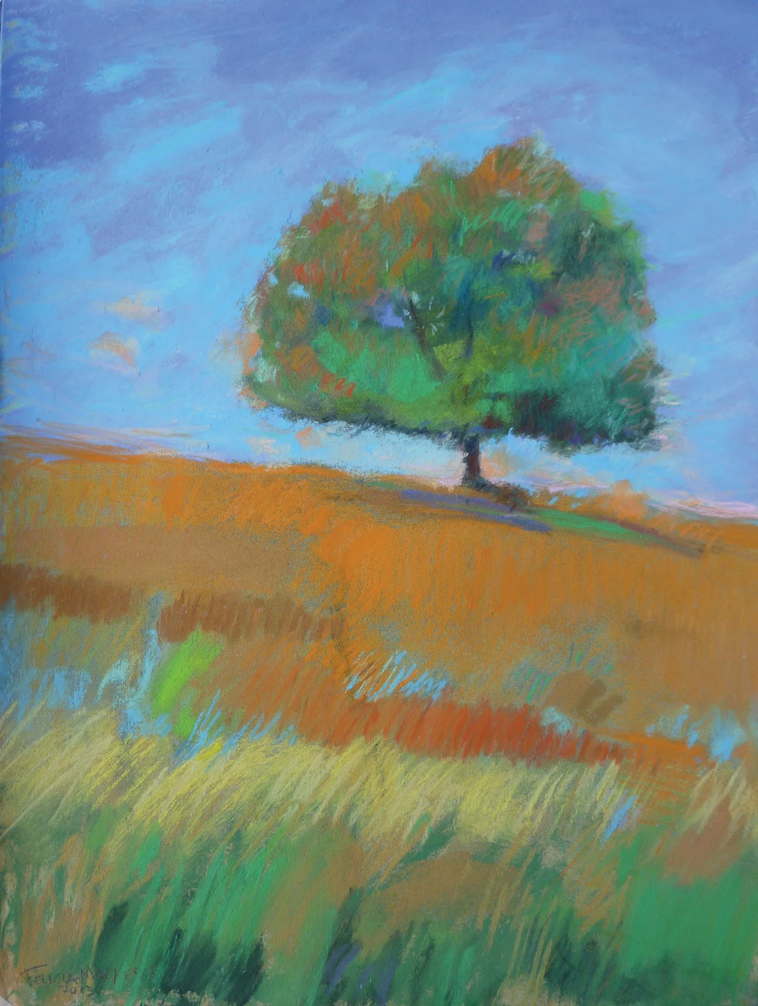 Solitary Oak