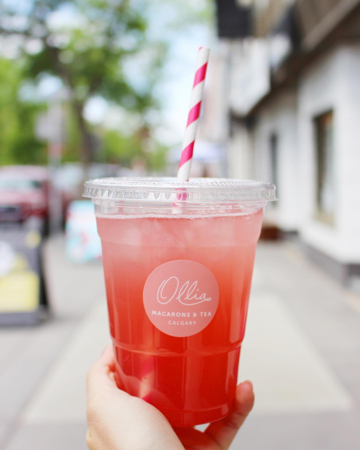 Drink round up🍹It&rsquo;s Tea Tuesday at the boutique, meaning all tea lattes, lemonades and seasonal iced teas are $4 and signature hot teas are $2!

We&rsquo;re open until 5 p.m. today ☀️

#byollia #meetmeon17th #yyc #yyccafe #yycnow