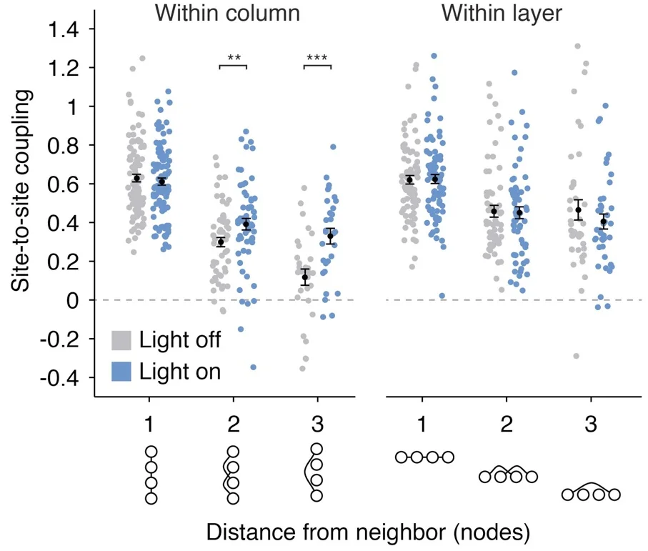 Ising model couplings in the presence and absence of an optogenetic intervention.