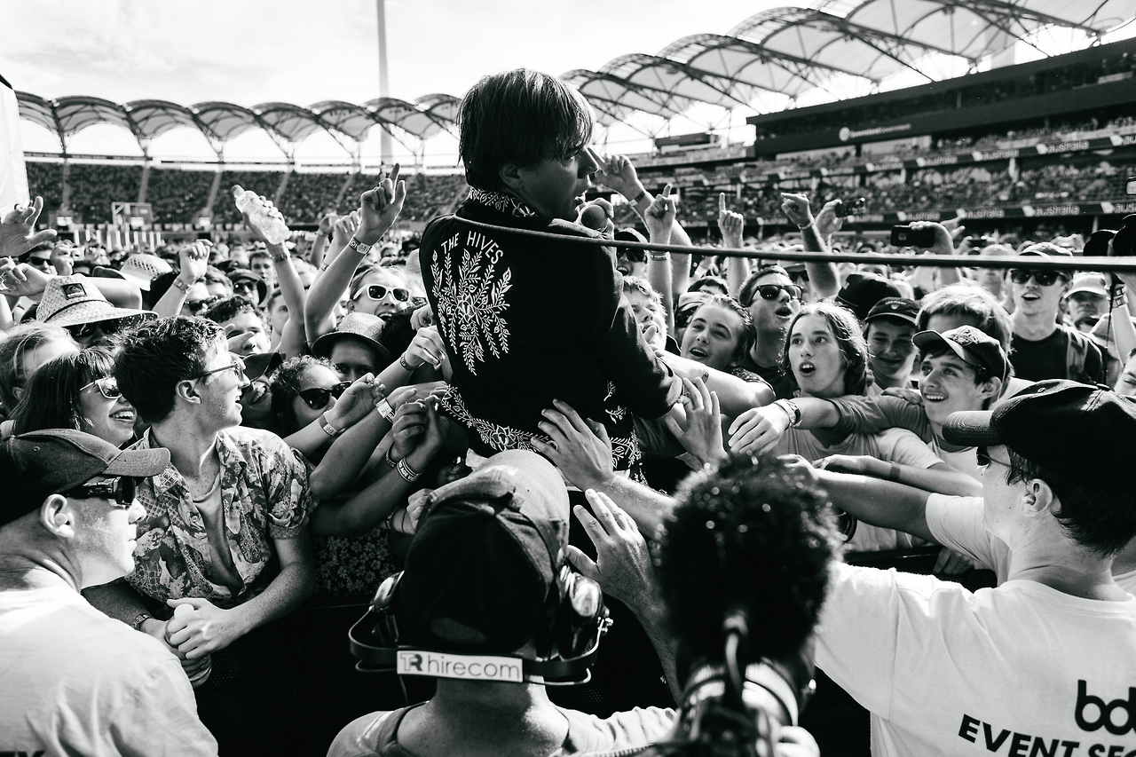 The Hives