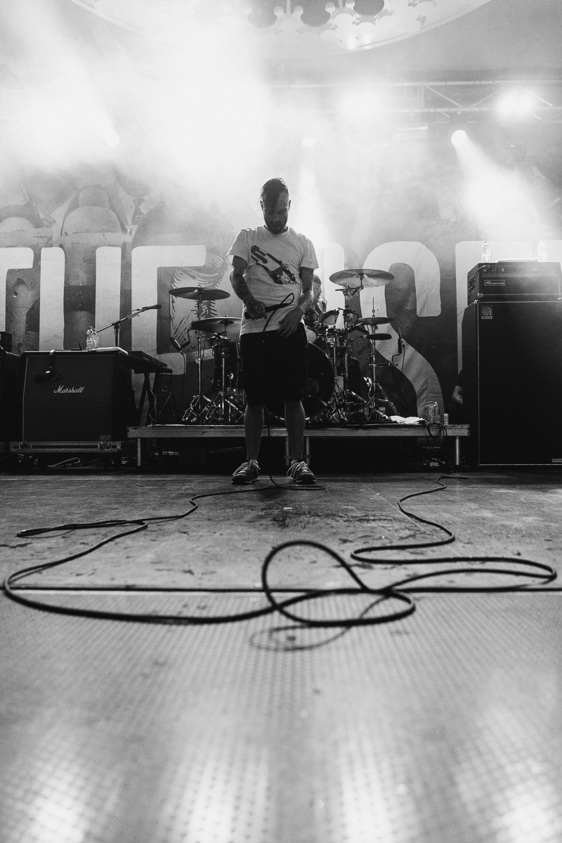 The Used