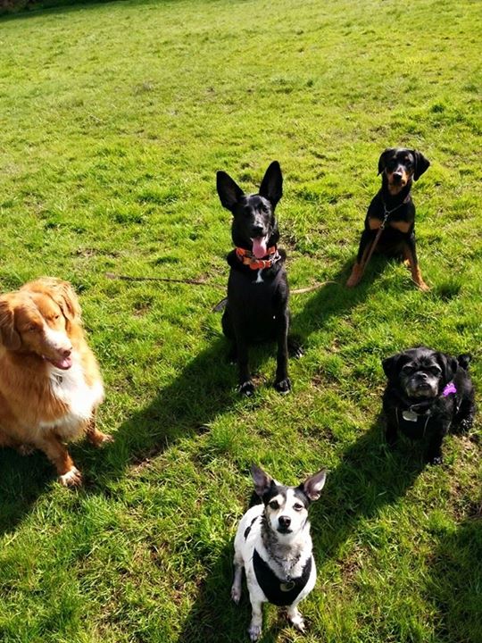 group shot.jpg