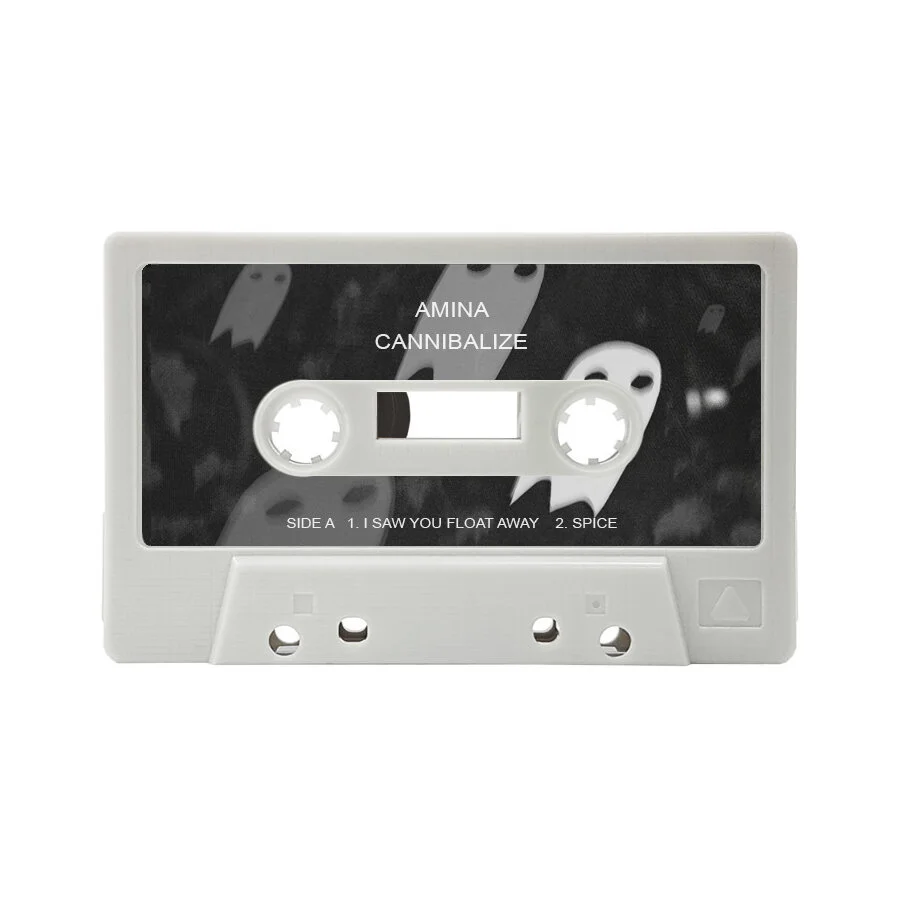 Cannibalize Cassette Inside.jpg