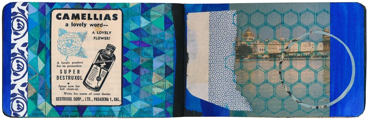 Once in  While (Plate 19)